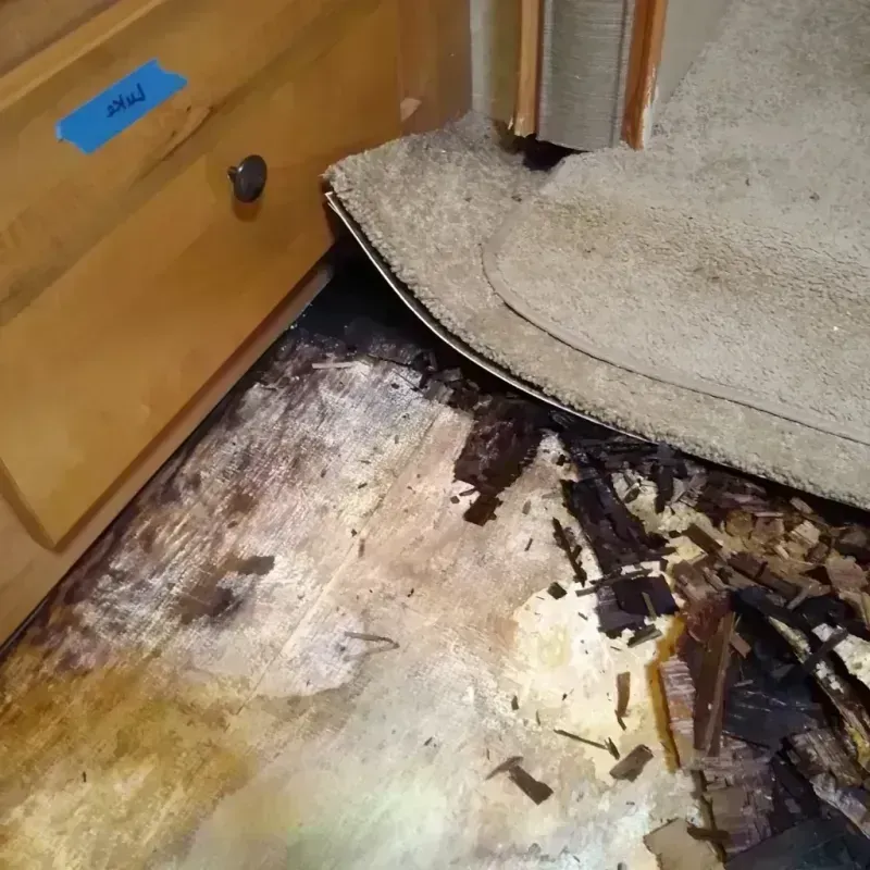 Best Wood Floor Water Damage Service in Algona, IA